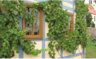 In Der Alten Weinstube Freital Exterior photo